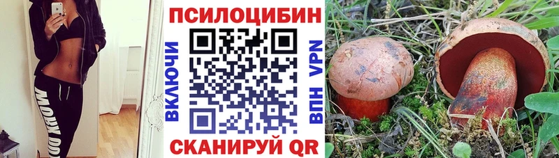 Псилоцибиновые грибы прущие грибы наркота Пикалёво